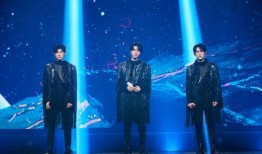 导演演唱会爆料视频大全,揭秘幕后精彩瞬间