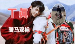 马爸爸最新爆料,科技巨头未来布局与行业变革前瞻