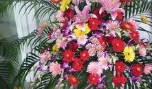 花篮网爆料了吗最新消息,揭秘热点事件背后真相