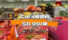 costco最新爆料,揭秘会员制超市的独家优惠与内部秘密